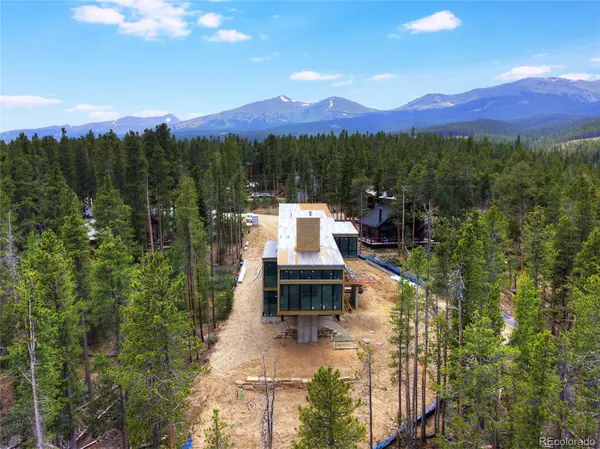 96 Tin Cup CIR, Breckenridge, CO 80424