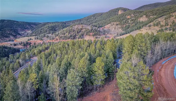 959 Calcite DR, Divide, CO 80814