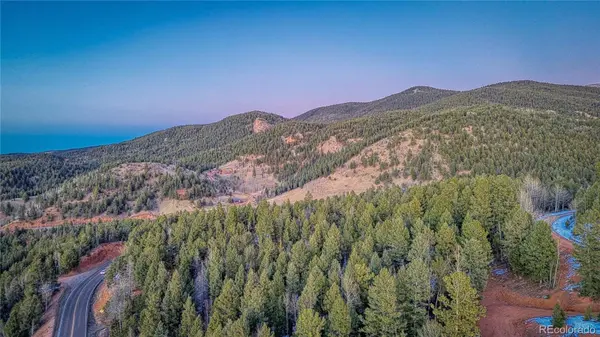 959 Calcite DR, Divide, CO 80814