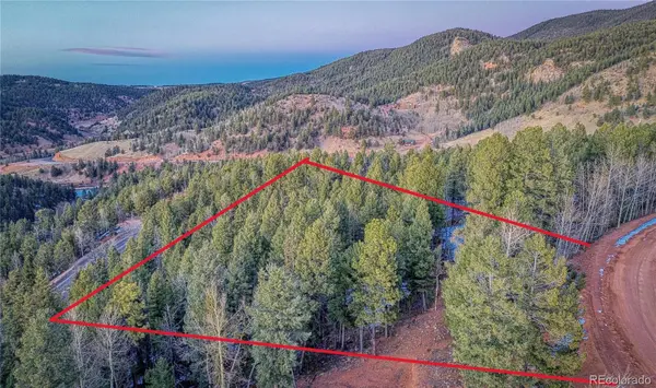 959 Calcite DR, Divide, CO 80814