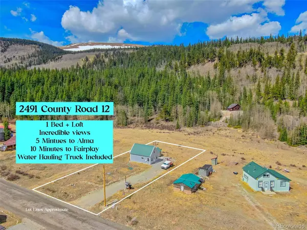 2491 Cr-12, Alma, CO 80420