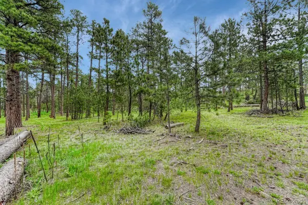 000 Wyandott DR, Colorado Springs, CO 80908