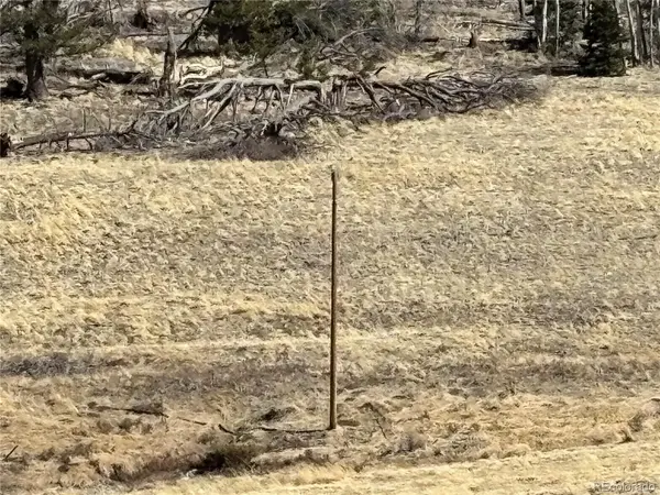 00 Forbes Park Rd., Fort Garland, CO 81133