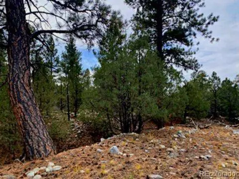 Costilla PL, Mosca, CO 81146