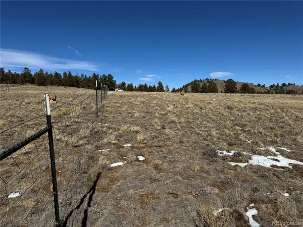 225 Wagon Wheel RD, Hartsel, CO 80449