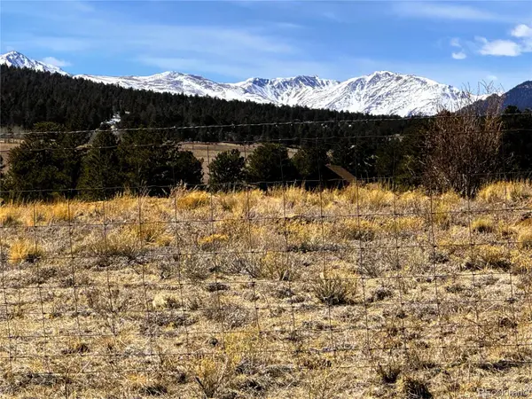 225 Wagon Wheel RD, Hartsel, CO 80449