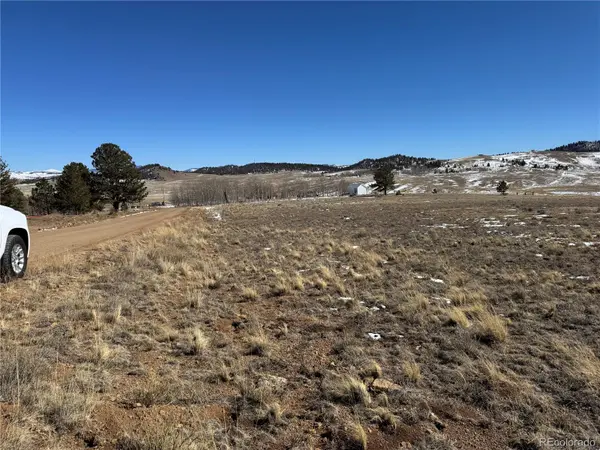 225 Wagon Wheel RD, Hartsel, CO 80449