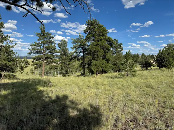 833 Angus CIR, Hartsel, CO 80449