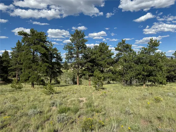 833 Angus CIR, Hartsel, CO 80449