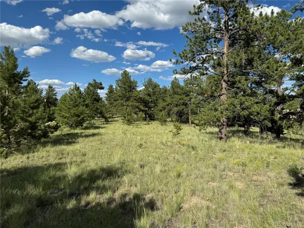 833 Angus CIR, Hartsel, CO 80449