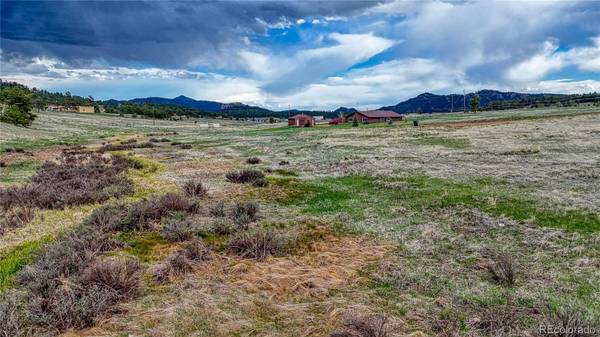 315 Empire RD, Florissant, CO 80816