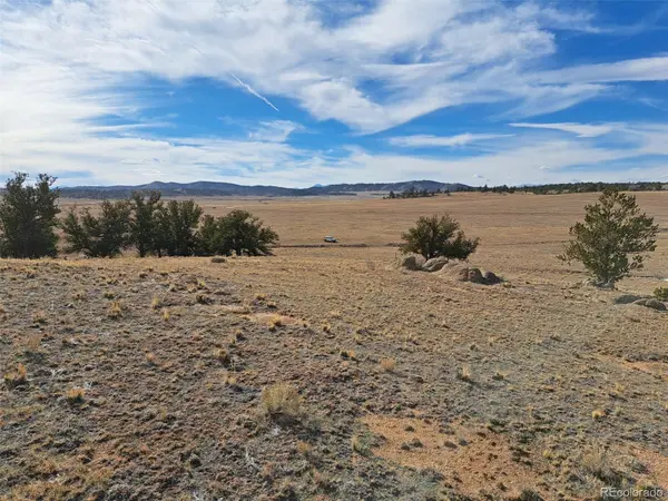 1282 Ute TRCE, Hartsel, CO 80449