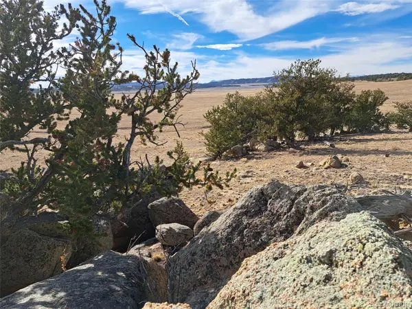1282 Ute TRCE, Hartsel, CO 80449