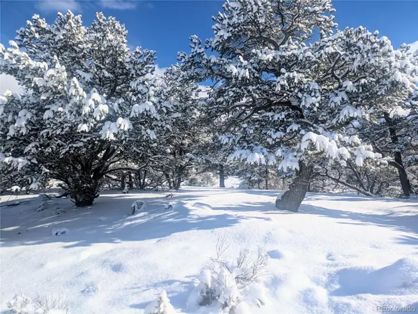 1946-1949C, 2017-2020 Lone Pine WAY, Crestone, CO 81131