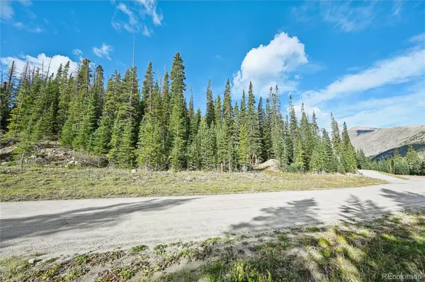 159 Hamilton LN, Breckenridge, CO 80424