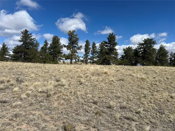517 Brahma CIR, Hartsel, CO 80449