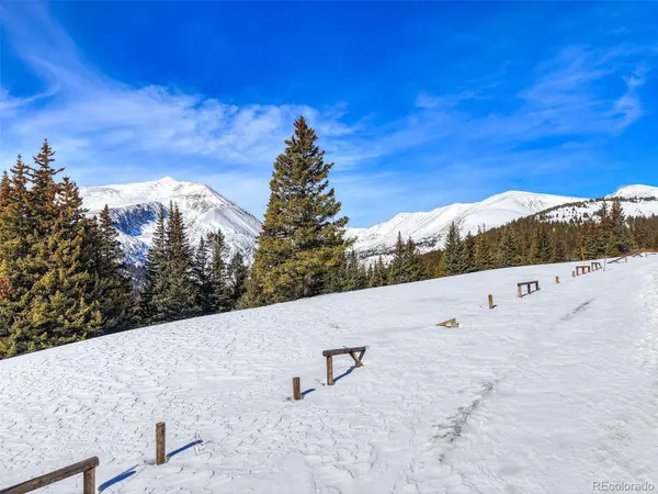 58969 Highway 9, Alma, CO 80420