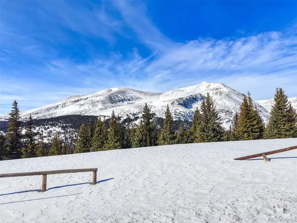 58969 Highway 9, Alma, CO 80420