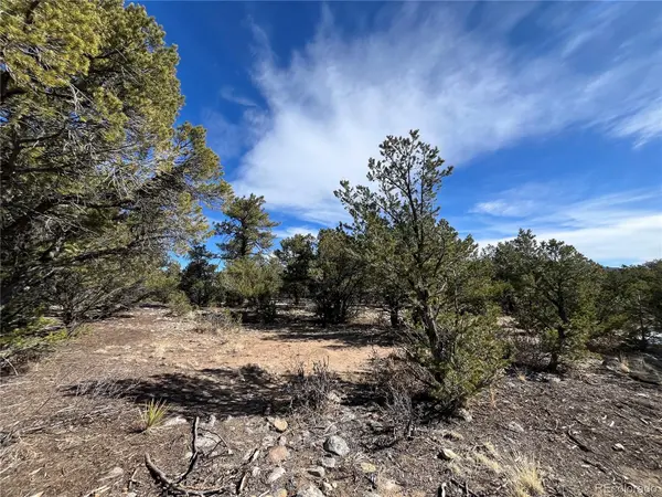 29274 Lakota LN, Buena Vista, CO 81211