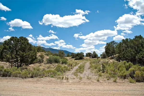 711 Cedarwood Ol, Crestone, CO 81131