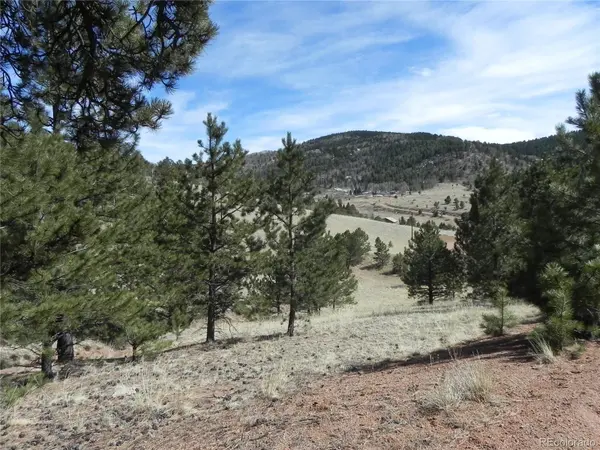 1087 Monarch DR, Cripple Creek, CO 80813