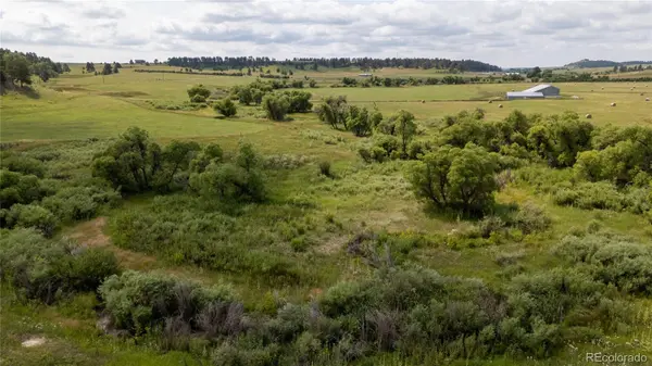 11503 E Smith RD, Elbert, CO 80106
