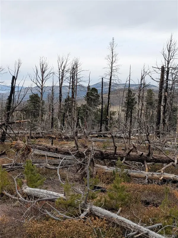 Lot 2301 Wohlstetter Loop, Fort Garland, CO 81133
