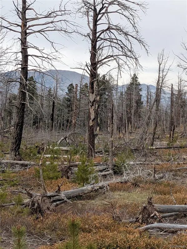 Lot 2301 Wohlstetter Loop, Fort Garland, CO 81133