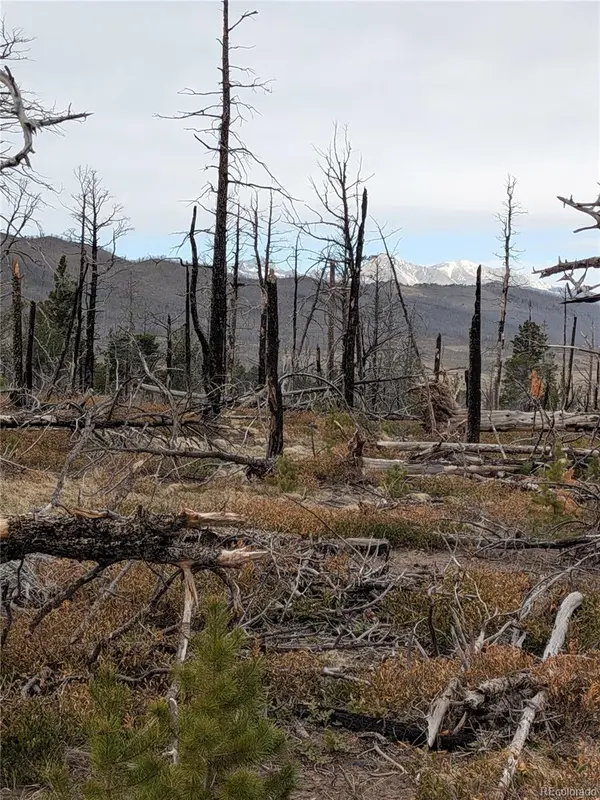 Lot 2301 Wohlstetter Loop, Fort Garland, CO 81133