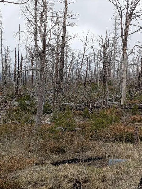 Lot 2301 Wohlstetter Loop, Fort Garland, CO 81133