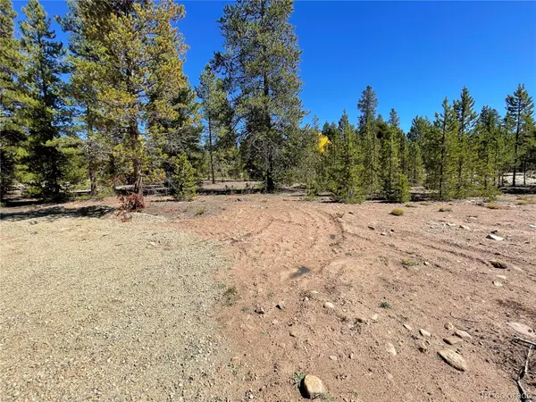 500 Virginia AVE, Leadville, CO 80461
