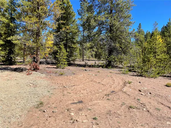 500 Virginia AVE, Leadville, CO 80461