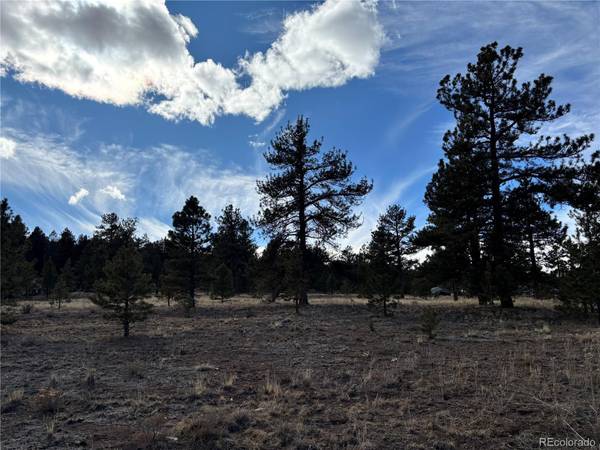 823 Windmill DR, Hartsel, CO 80449