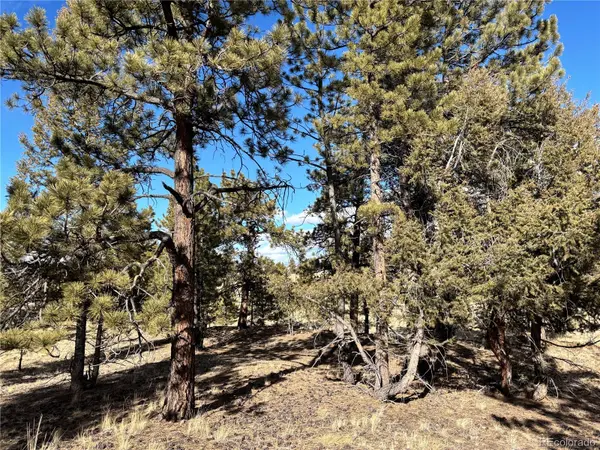 823 Windmill DR, Hartsel, CO 80449