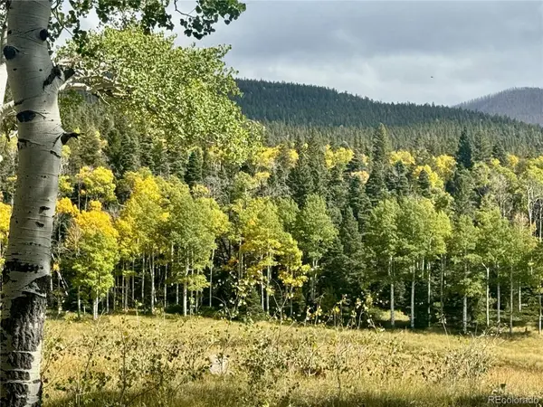 Lot 2843 Wendt LN, Fort Garland, CO 81133