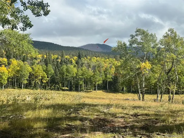 Lot 2843 Wendt LN, Fort Garland, CO 81133