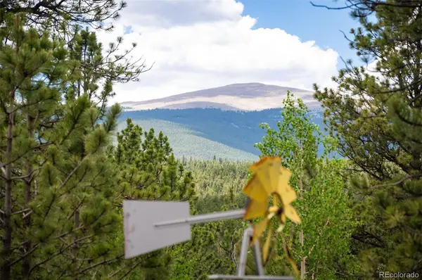 21 Crystal Rock RD, Bailey, CO 80421