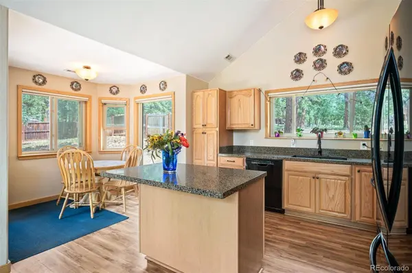 21 Crystal Rock RD, Bailey, CO 80421