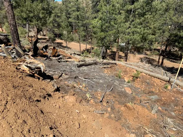 15421 Westcreek RD, Woodland Park, CO 80863
