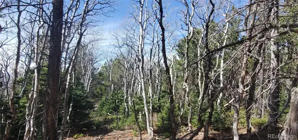 Lot 2560 Grojean DR, Fort Garland, CO 81133