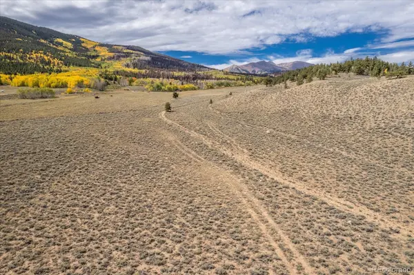 000 TBD County Road 28A, Twin Lakes, CO 81251