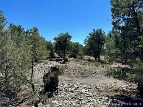 15 Mill Run RD, Mosca, CO 81146