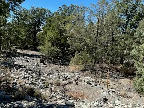 15 Mill Run RD, Mosca, CO 81146