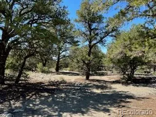 15 Mill Run RD, Mosca, CO 81146