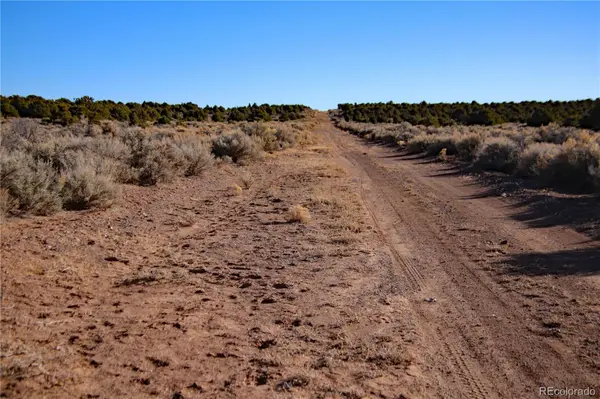 Parcel 40 Alta Mesa DR, San Luis, CO 81152