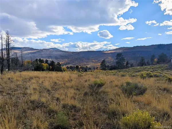 1129 Laker LN, Fort Garland, CO 81133