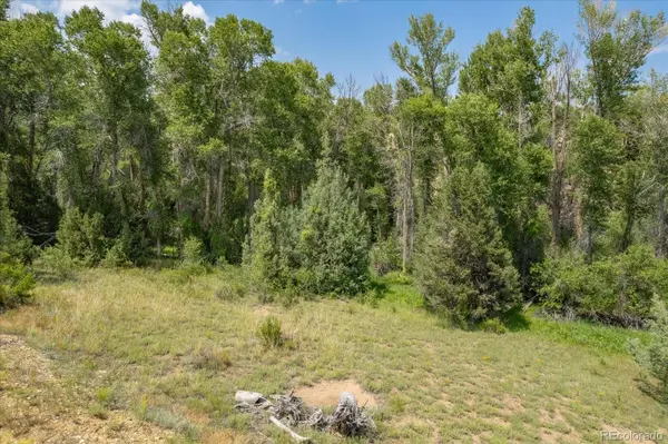 7925 Cozart LN, Salida, CO 81201