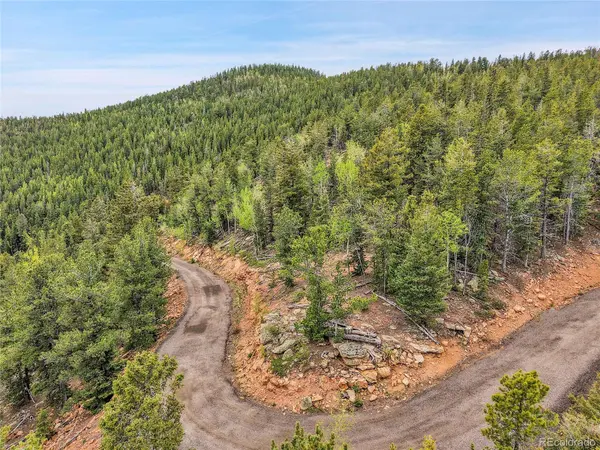 000 Mule Slide TRL, Conifer, CO 80433