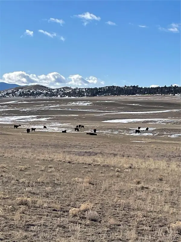 1260 Goldenburg Canyon RD, Hartsel, CO 80449