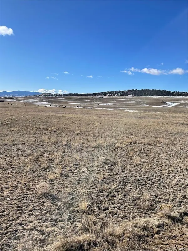 1260 Goldenburg Canyon RD, Hartsel, CO 80449